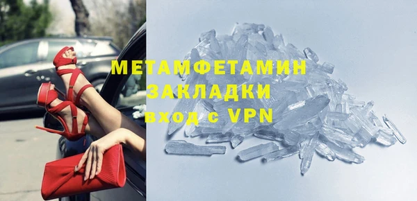 прущие грибы Михайловка