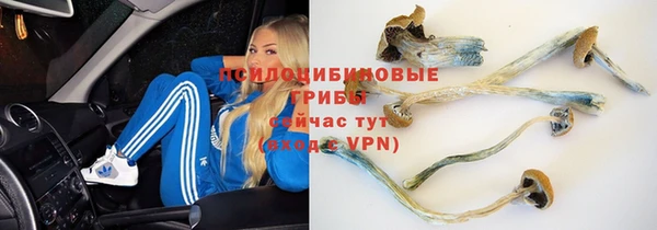 spice Алзамай
