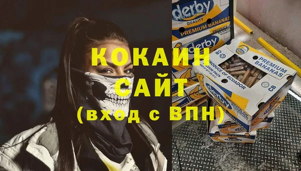 соль ск Алексин