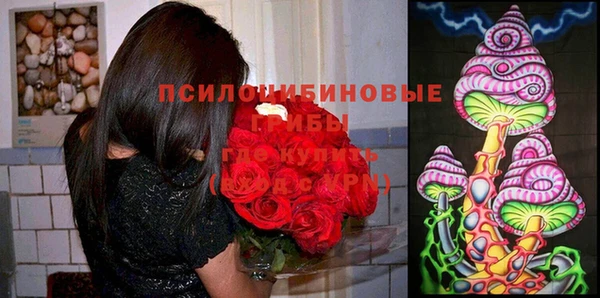 соль ск Алексин
